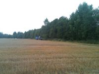 Gridino (4)